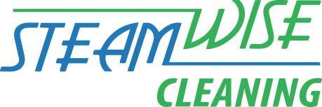 Steam Wise Cleaning